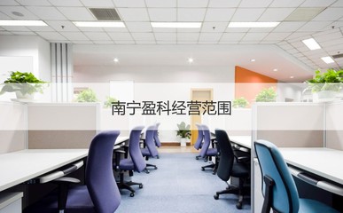 南寧盈科 聚焦計算機技術咨詢，解析其經營范圍與職業前景